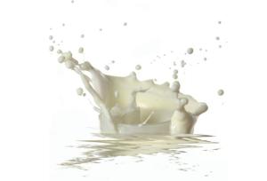 Fonterra to invest $100m in new UHT milk plant